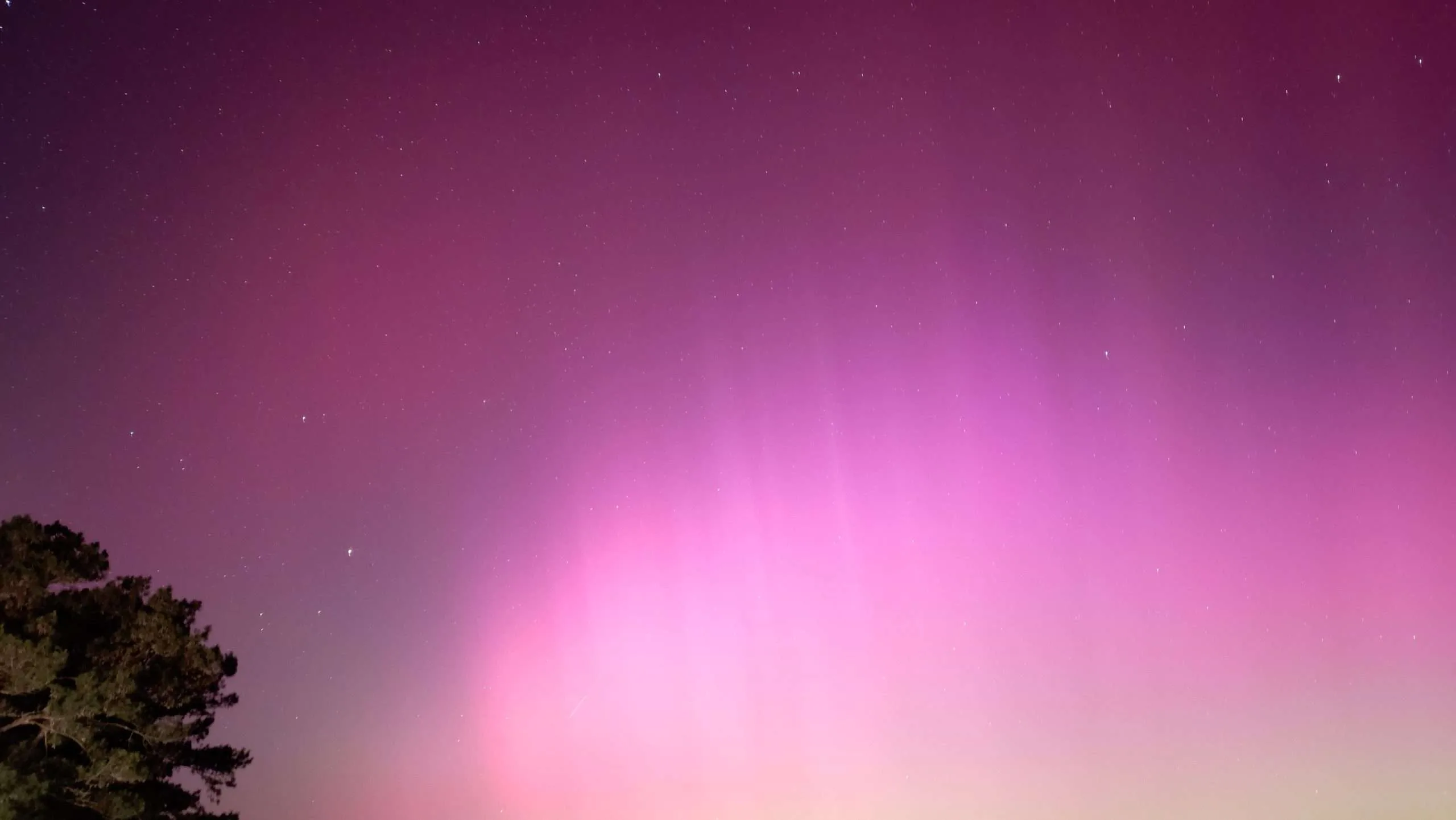 Northern lights in Lower Alabama