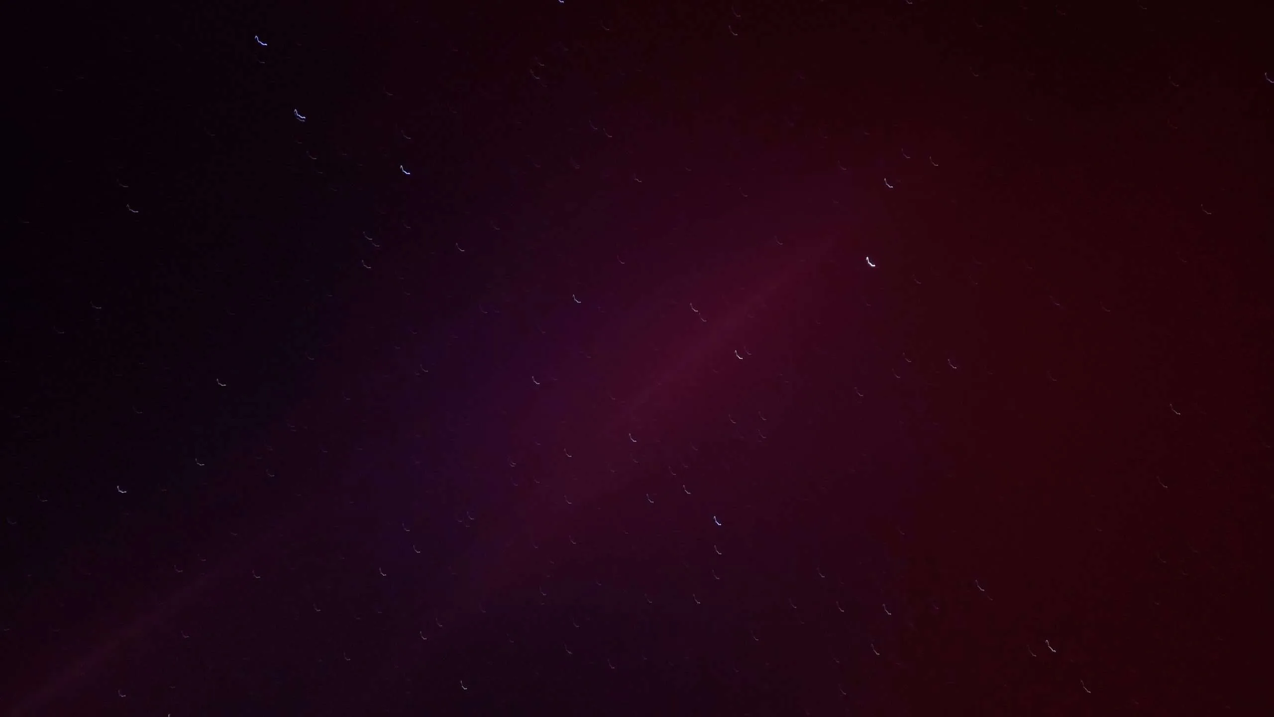 Northern lights in Lower Alabama